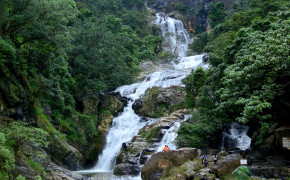 Sinharaja Rain Forest